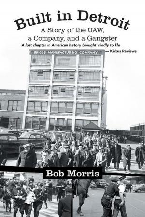 Book cover of Built in Detroit