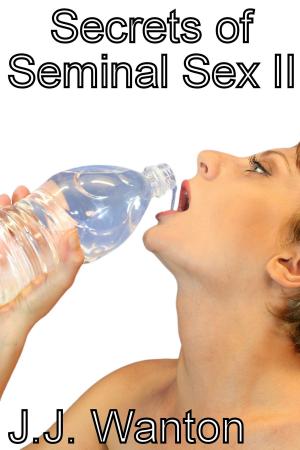 Cover of the book Secrets of Seminal Sex II by Jed Diamond PhD