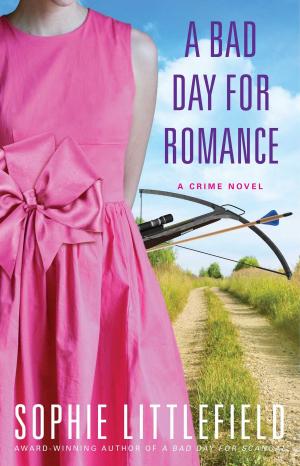 bigCover of the book A Bad Day for Romance by 