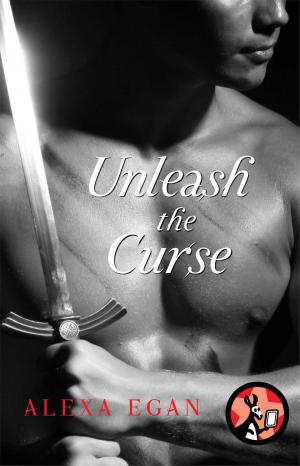 Cover of the book Unleash the Curse by Stephanie Haefner