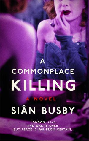 Cover of the book A Commonplace Killing by Don J. Snyder