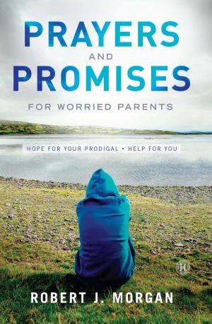Cover of the book Prayers and Promises for Worried Parents by Nicole Baart