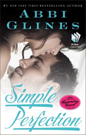 bigCover of the book Simple Perfection by 