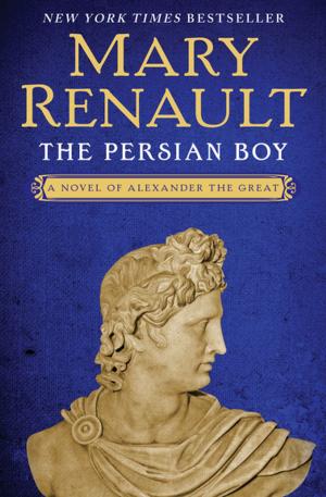 Cover of the book The Persian Boy by Elizabeth Lane