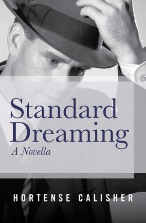Cover of the book Standard Dreaming by Charlie Sweeters