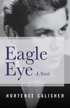 Cover of the book Eagle Eye by Harlan Ellison