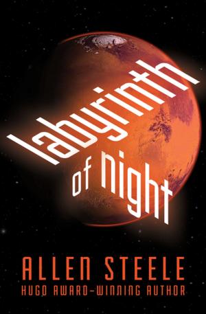 Cover of the book Labyrinth of Night by John Norman