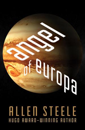 Cover of the book Angel of Europa by Sue Harrison