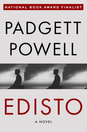 Cover of the book Edisto by Thomas Verny, Pamela Weintraub