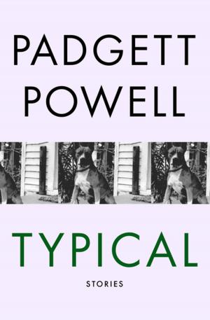 Cover of the book Typical by Matthew Arnold