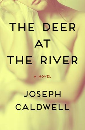 Book cover of The Deer at the River