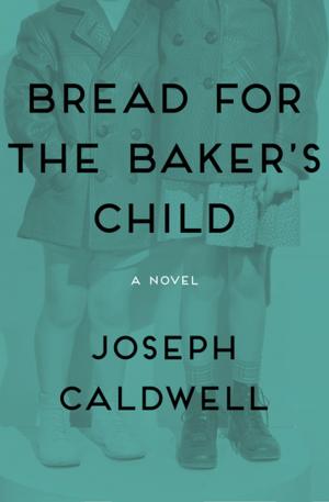 Book cover of Bread for the Baker's Child