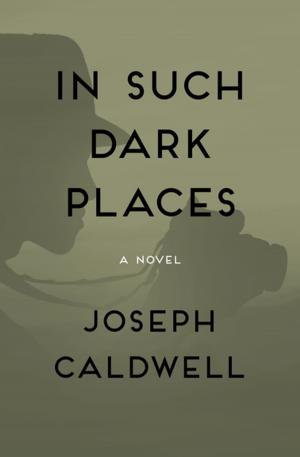 bigCover of the book In Such Dark Places by 