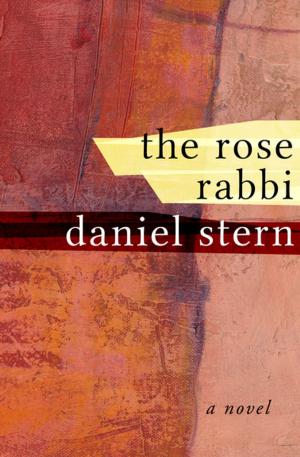 Cover of the book The Rose Rabbi by Jerome Weidman