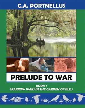 Cover of the book Prelude to War: Book One by Willow Love