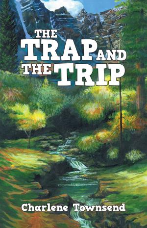 Cover of the book The Trap and the Trip by Heleena McGee