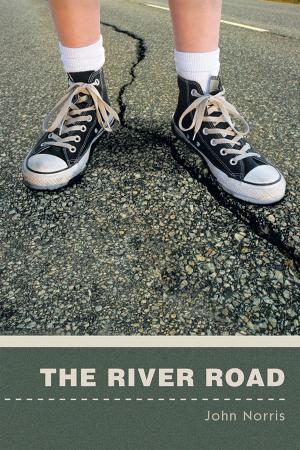 Cover of the book The River Road by Paul Freeman Thibodeau