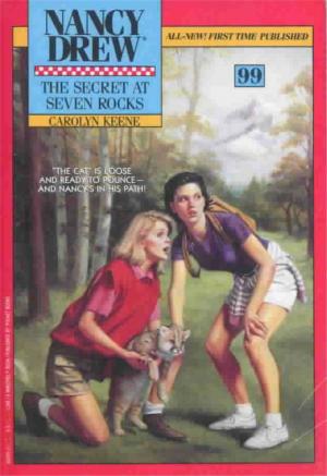 Cover of the book The Secret at Seven Rocks by Stacia Deutsch, Rhody Cohon