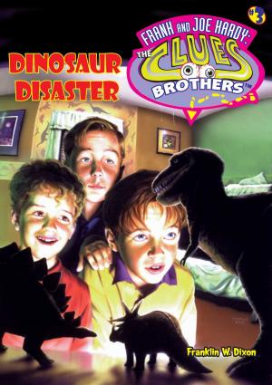 Cover of the book Dinosaur Disaster by R.L. Stine