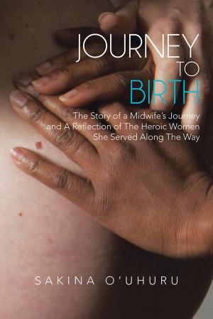 Cover of the book Journey to Birth by Sai Bhaskar Reddy Nakka