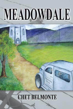 Cover of the book Meadowdale by Carol Ann Hope