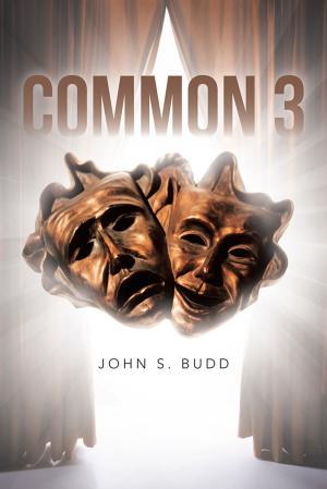 Book cover of Common 3