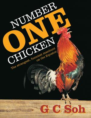 Cover of the book Number One Chicken by Rowan Hodge