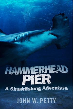 Cover of the book Hammerhead Pier by Stephan Kinsella