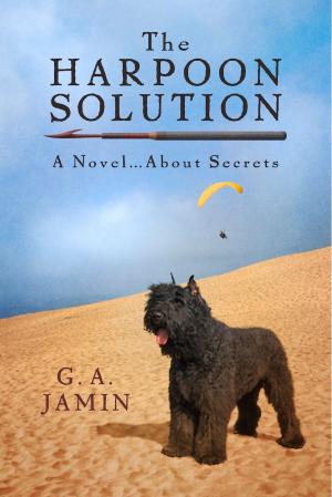 Cover of the book The Harpoon Solution by Professor Gary Solomon, Dr. Robin Huhn