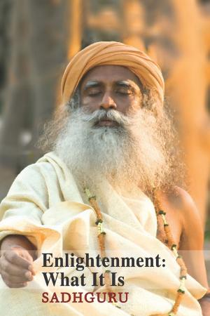 Cover of the book Enlightenment - What It Is by Sharon Soliday
