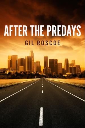 Cover of the book After the Predays by Aimee Lamb