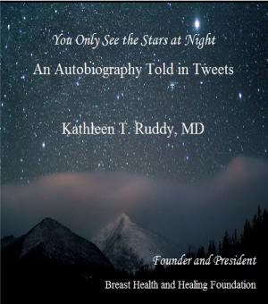Cover of the book You Only See the Stars at Night by Paul Schiffbauer, Darrian Hopson
