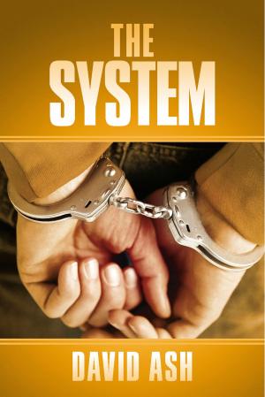 Cover of the book The System by Ramona Paster