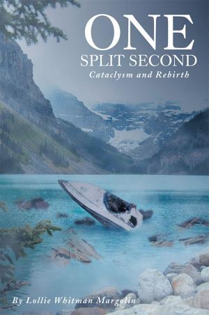 Cover of the book One Split Second by Erwin Wetzel-Richli