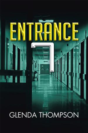 Cover of the book Entrance 7 by Stitch Frizbin