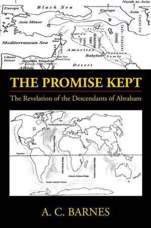 Cover of the book The Promise Kept by Hannah C. Schuessler