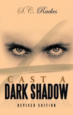 Cover of the book Cast a Dark Shadow by Jed N. Snyder CNC D. Min Ph.D.