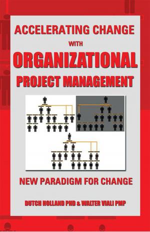 Cover of the book Accelerating Change with Organizational Project Management by Stephen Johnson