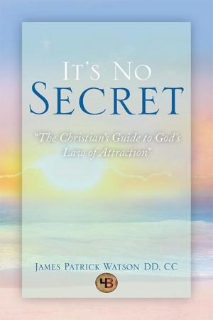 Cover of the book It's No Secret by Harry Barok