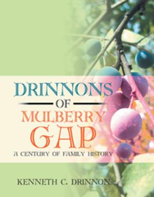 Cover of Drinnons of Mulberry Gap