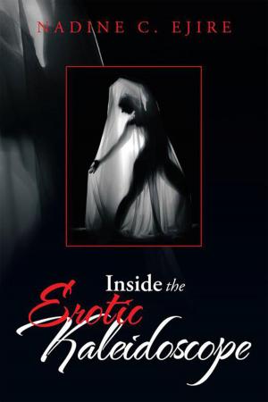 Cover of the book Inside the Erotic Kaleidoscope by Joanne Blackwelder