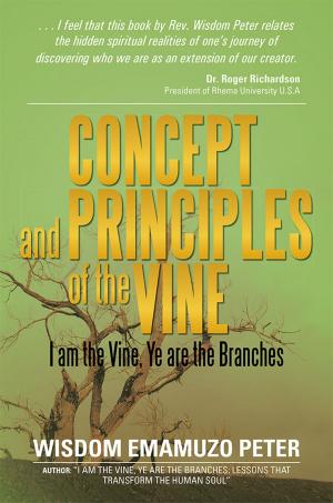 Cover of the book Concept and Principles of the Vine by Dr. Kate Pola Brooks