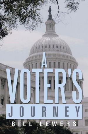 Cover of the book A Voter's Journey by Alan Dale Daniel
