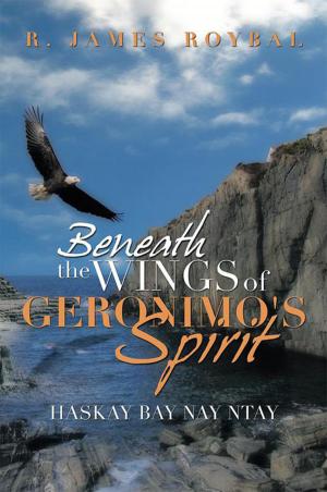 Cover of the book Beneath the Wings of Geronimo's Spirit by Frank Hazard