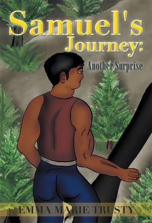 Cover of the book Samuel's Journey: Another Surprise by Millie Blue