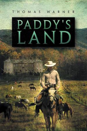 Cover of the book Paddy's Land by Constantin Portelli