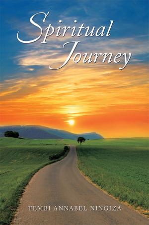 Cover of the book Spiritual Journey by James Morris