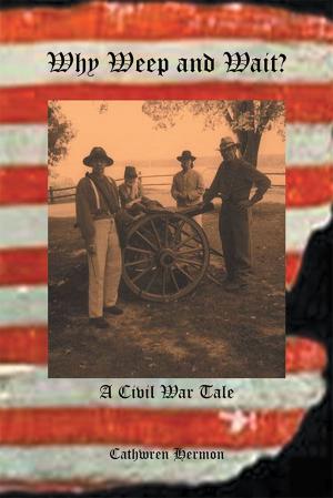 Cover of the book Why Weep and Wait - a Civil War Tale by James F. Hunt