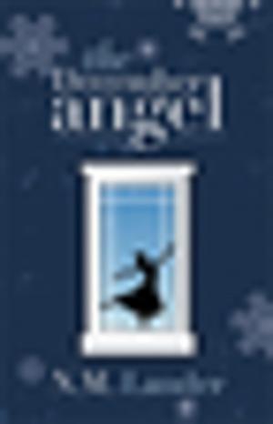 Cover of the book The December Angel by Norm Prigge