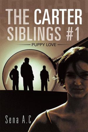 Cover of the book The Carter Siblings #1 by Stephen J. Bost